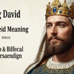 King David Meaning in the Bible